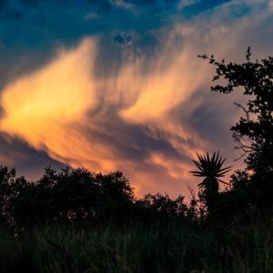 farmfacnew (20)