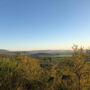 mview27